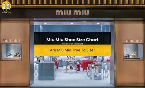 miu miu tags|miu miou size chart.